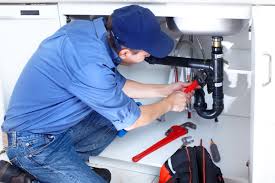 Best Tankless Water Heater Services  in Algonquin, IL